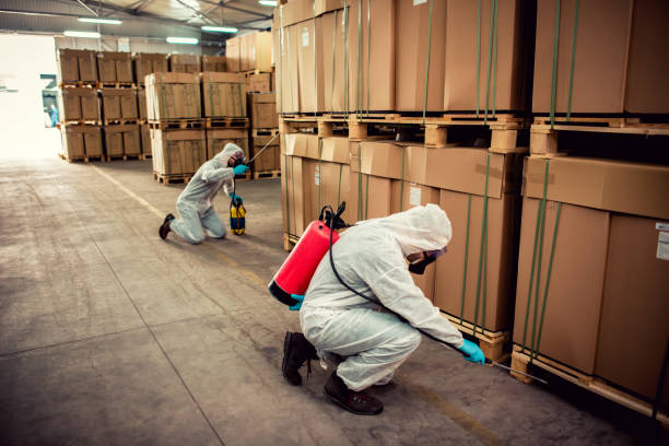 Best Pest Inspection Near Me  in Selma, NC