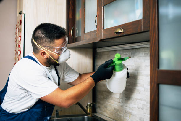 Best Wasp Removal Services  in Selma, NC