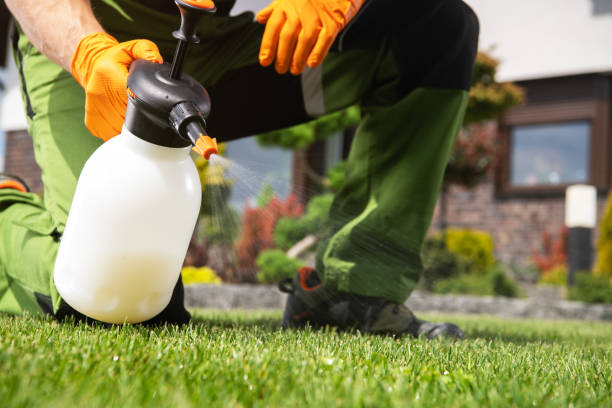 Best Cockroach Control Services  in Selma, NC