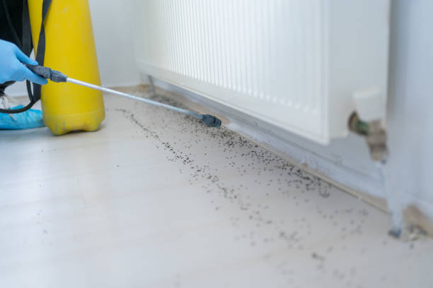 Best Pest Control Near Me  in Selma, NC