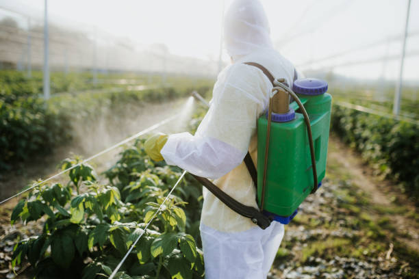 Wasp Removal Services in Selma, NC
